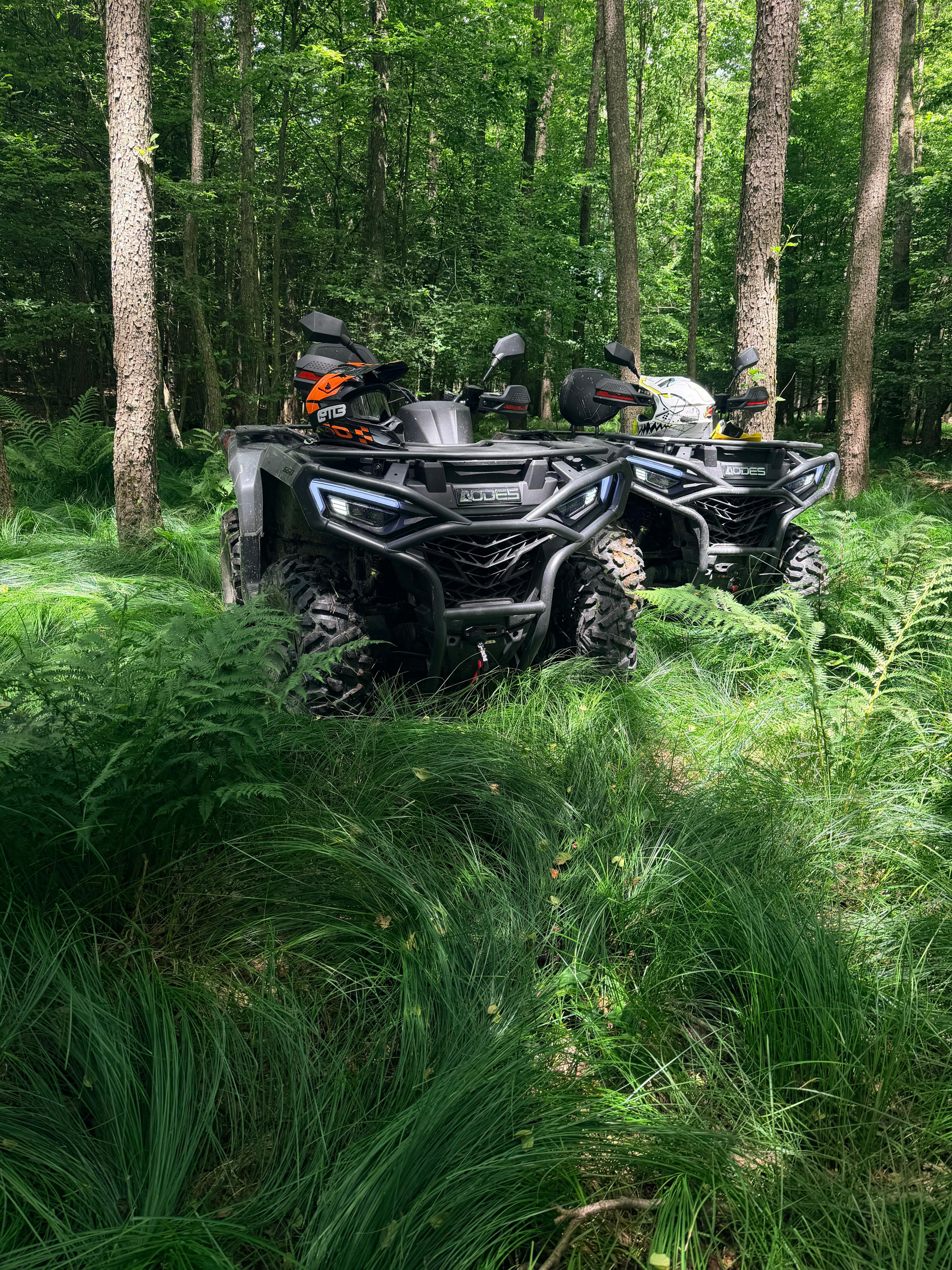 Quad na putu
